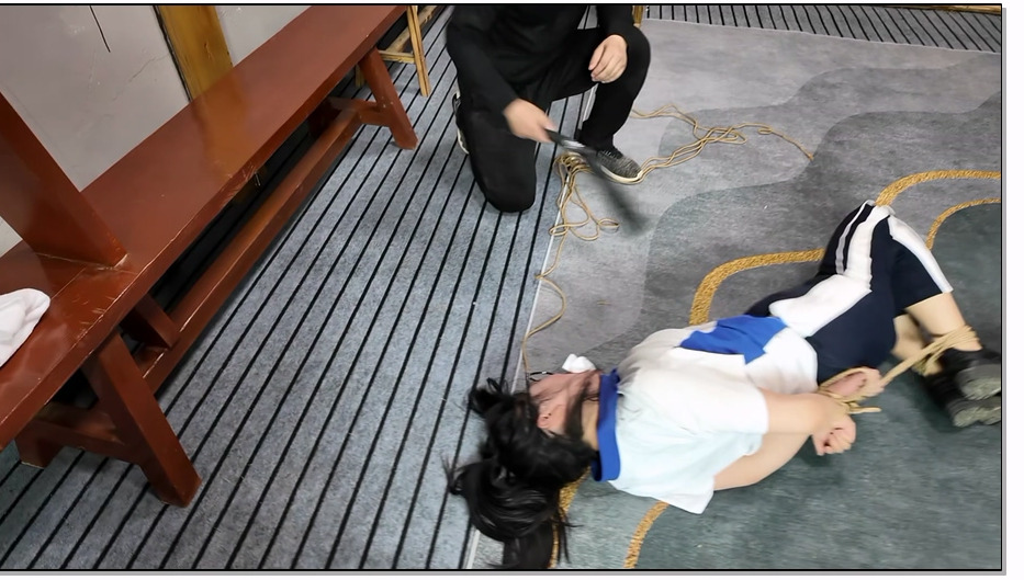 LDX089-李大侠 小遥的故事续集