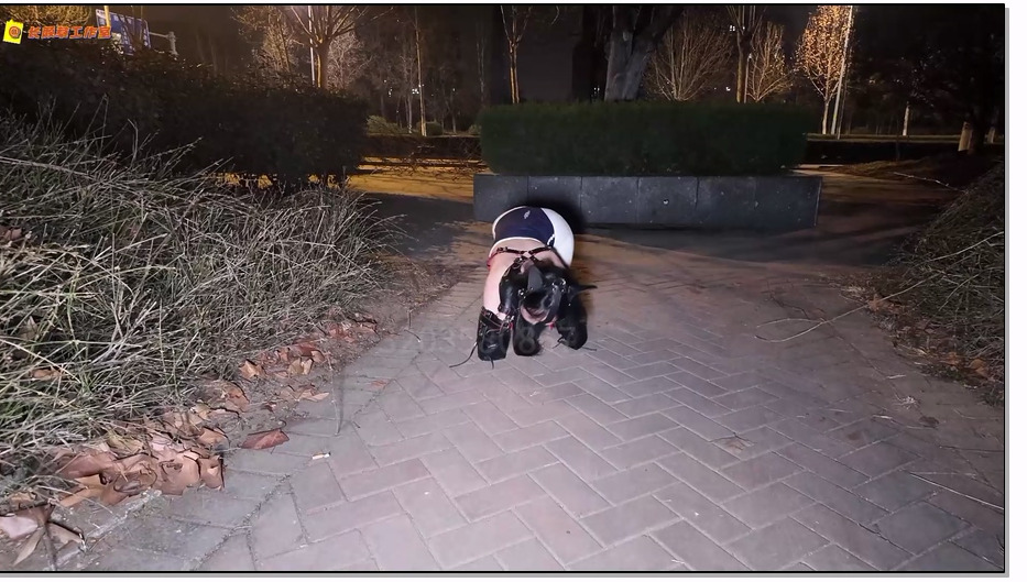 CYC046-长颜草 公园里的人形犬 霜喵k9户外遛狗式爬行调教 sp 抚摸 死库水配白丝双马尾